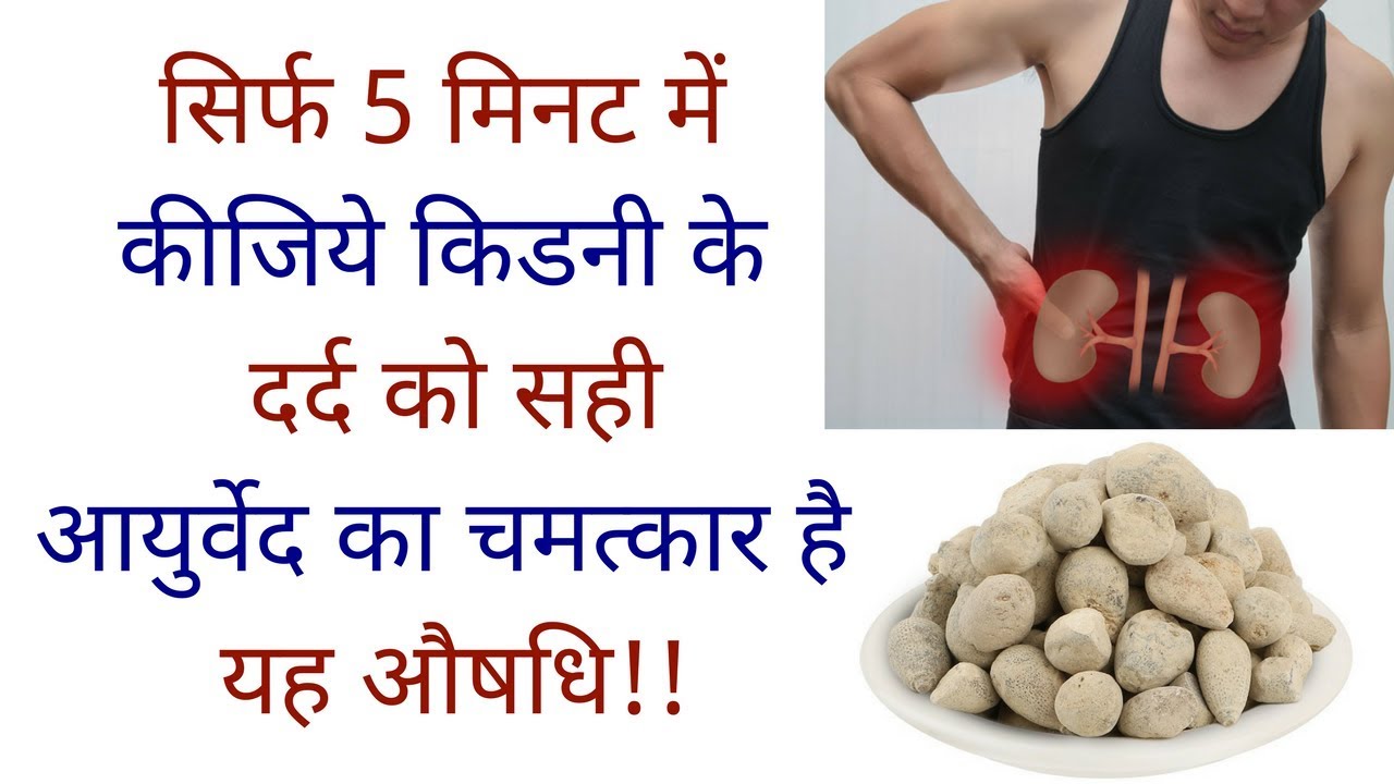 गुर्दे का दर्द घरेलु उपचार । Home Remedies For Kidney Pain In Hindi