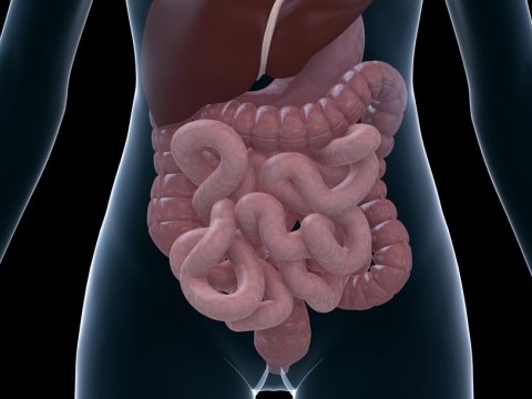 cleanse-your-colon-at-home-in-just-three-weeks-with-this-2-ingredient-remedy