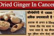 सौंठ से कैंसर का इलाज, dried ginger in cancer