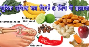 Diet Chart For Uric Acid Patient In Hindi